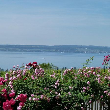 Abc Ferienwohnungen Abc Wohnung C Meersburg Kültér fotó